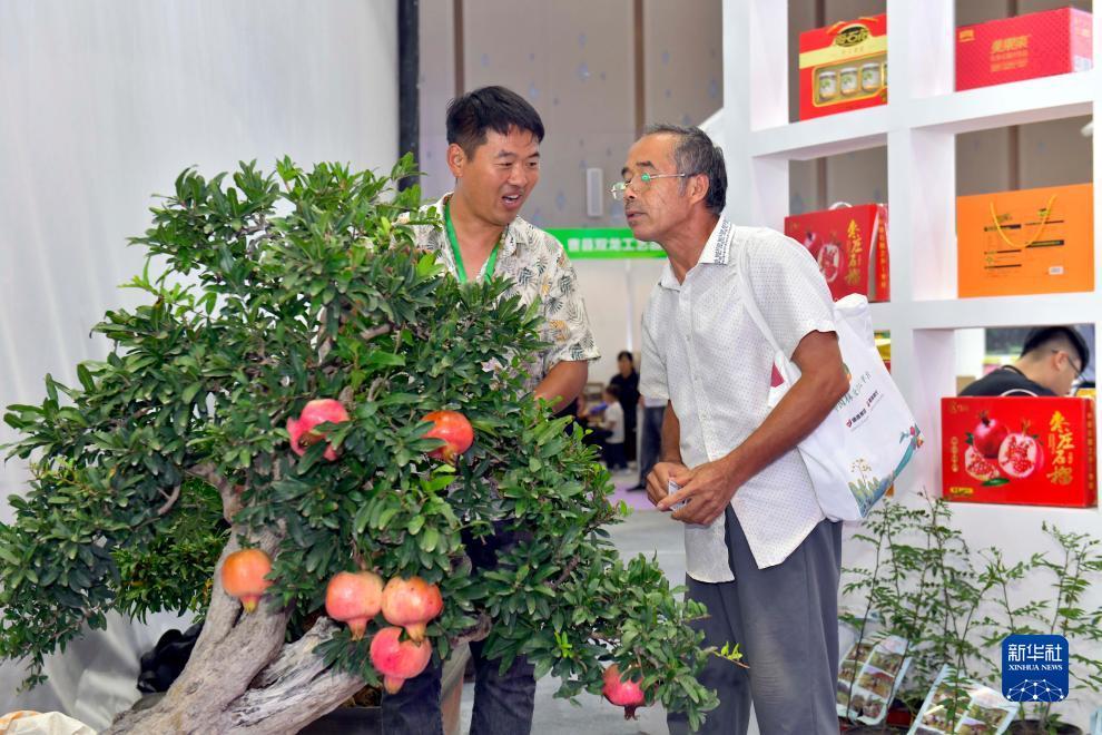 金沙官网金饰之家