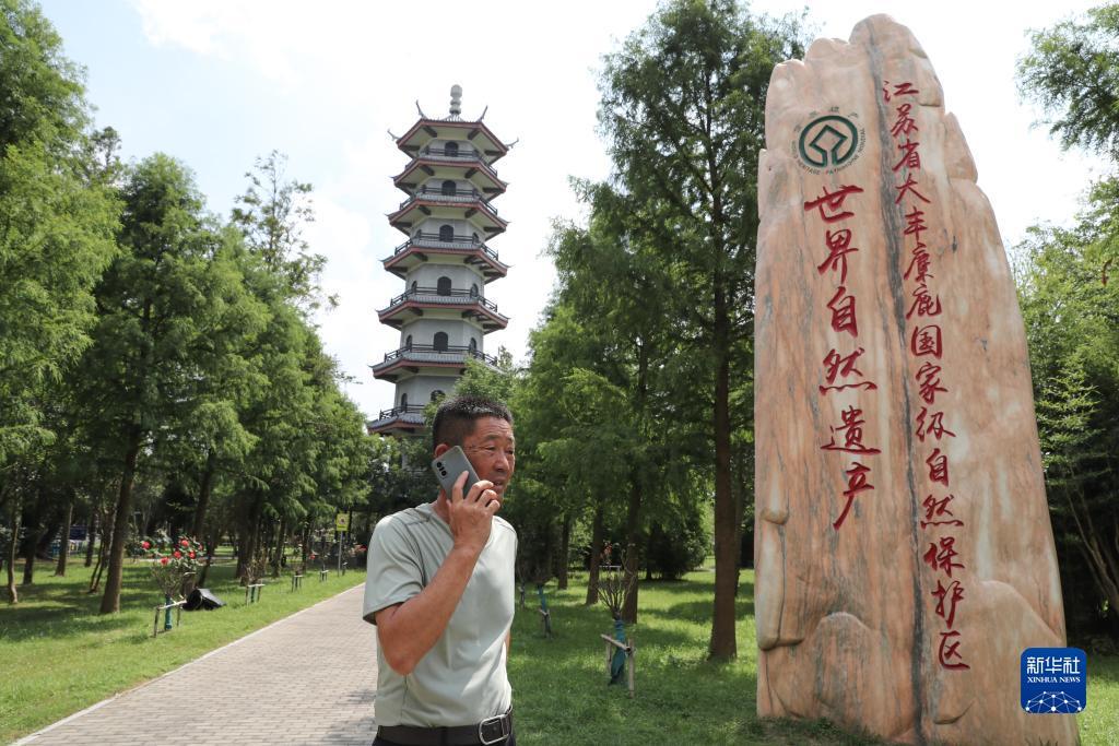 同城游五张牌叫什么